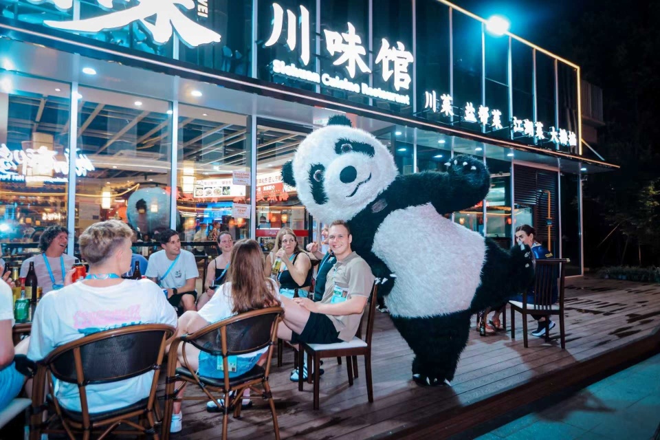 com, 府国际智链