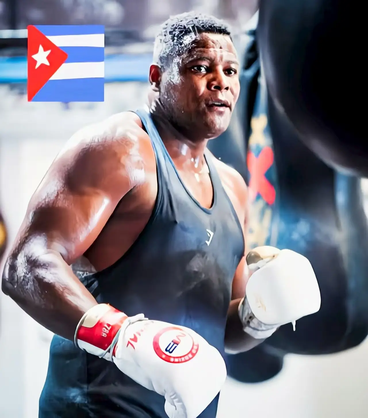 好事儿, TCL, 金刚 好事儿, TCL, 金刚