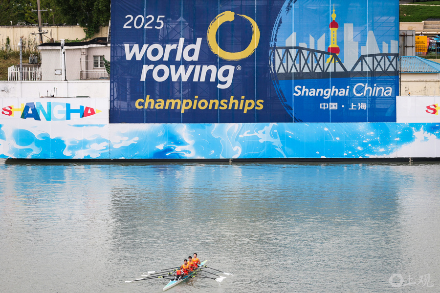 青浦水乡客, QAA, img 青浦水乡客, QAA, img